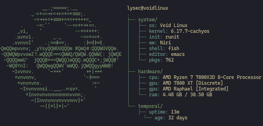 Fastfetch output on Void Linux